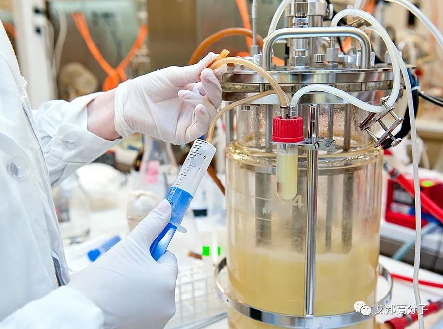 /ueditor/jsp/upload/image/20200214/1581669288451093697.jpg /ueditor/jsp/upload/image/20200214/1581669288451093697.jpg