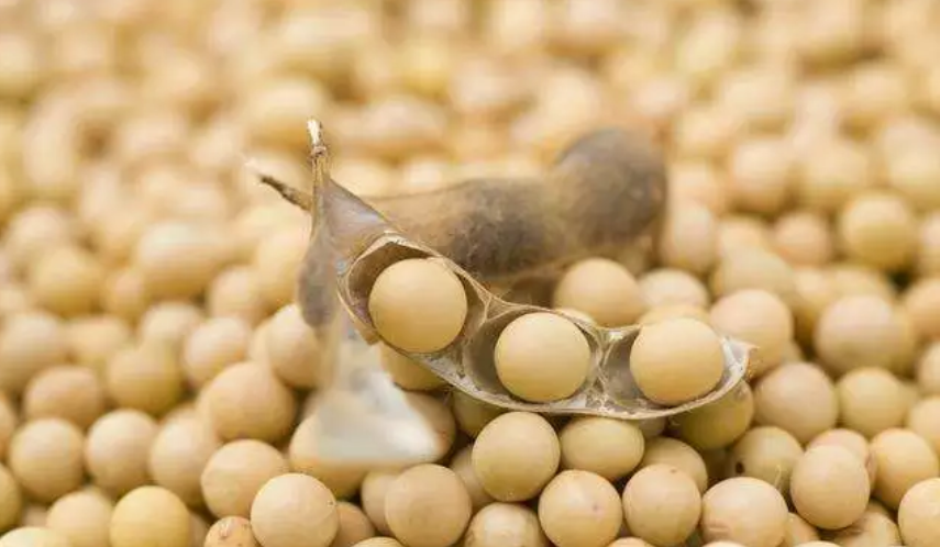 /ueditor/jsp/upload/image/20200213/1581558672016064142.png /ueditor/jsp/upload/image/20200213/1581558672016064142.png